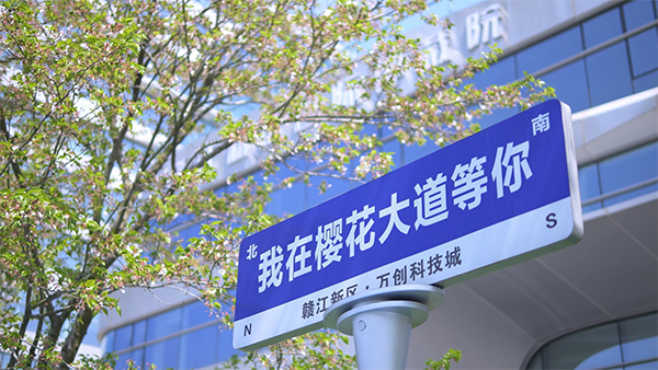 东方船影视制作赣江新区儒乐湖新城樱花大道.png
